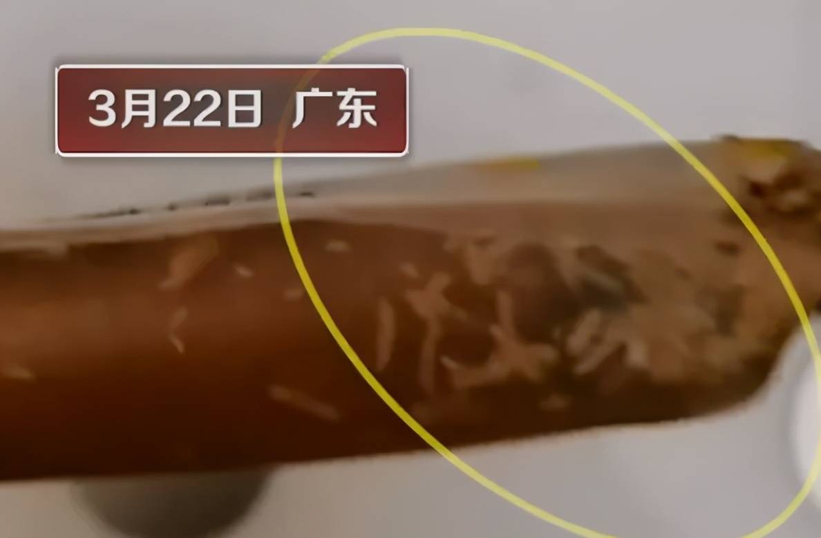鸡肉肠爬满蛆良品铺子愿赔偿但不道歉仍正常售卖(图1)
