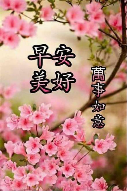 原创2021年3月24日星期三早上好问候祝福图片最新早安问候祝福图片