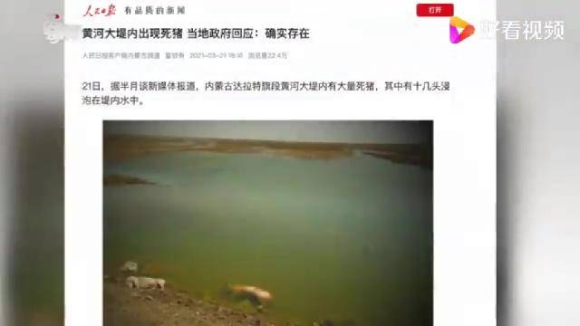 黄河内丢弃死猪事件:已确定2名嫌疑人-搜狐大视野-搜狐新闻