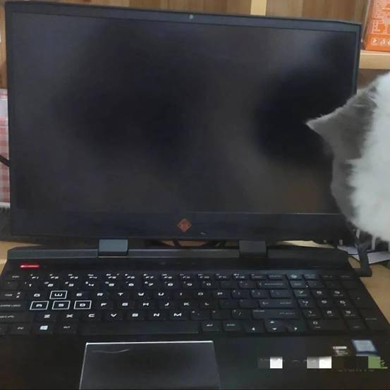 b9c934d0ccfe4528b4a1ebe84ddbb262.jpeg