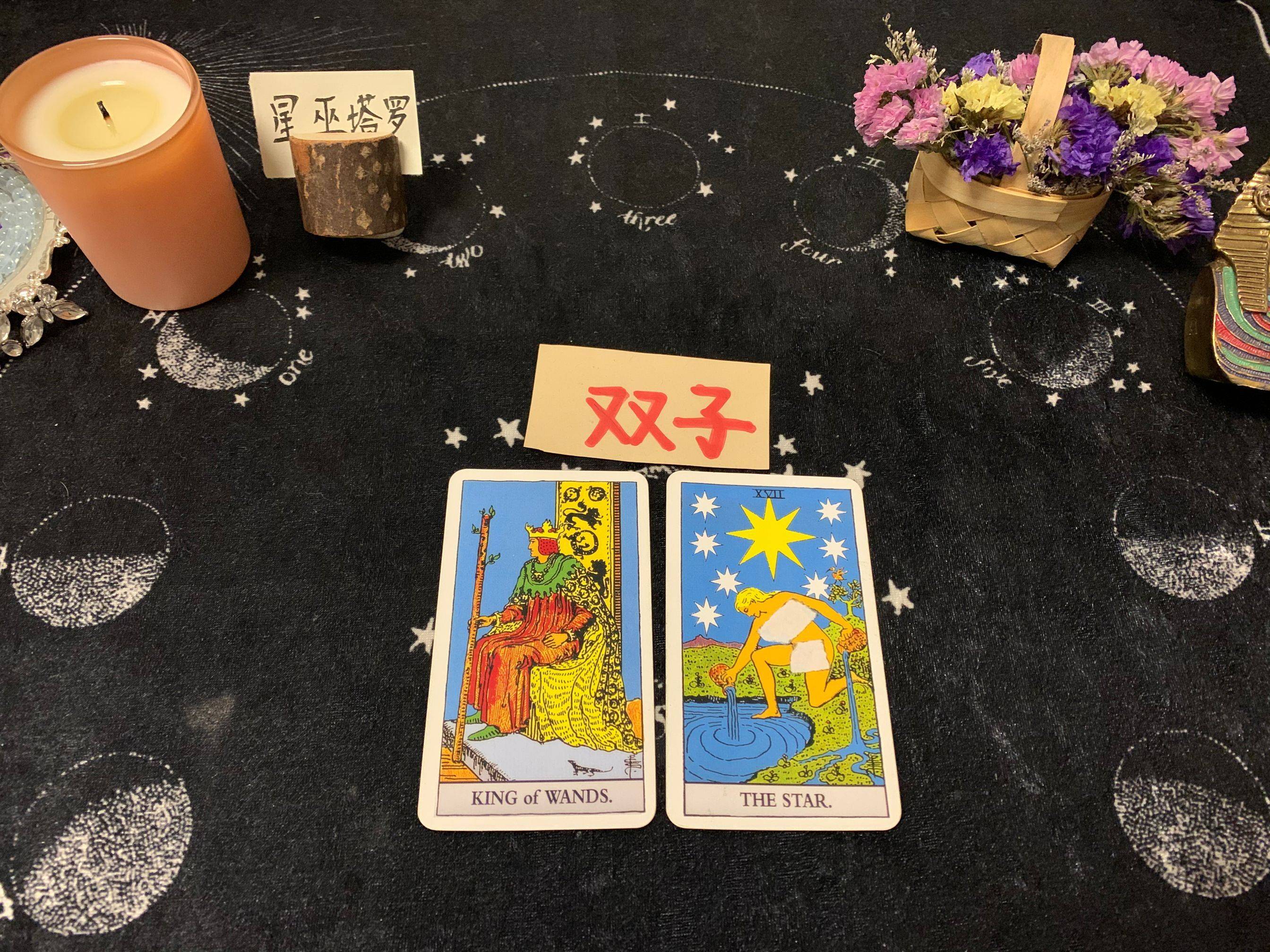 双子座:权杖国王 星星牌