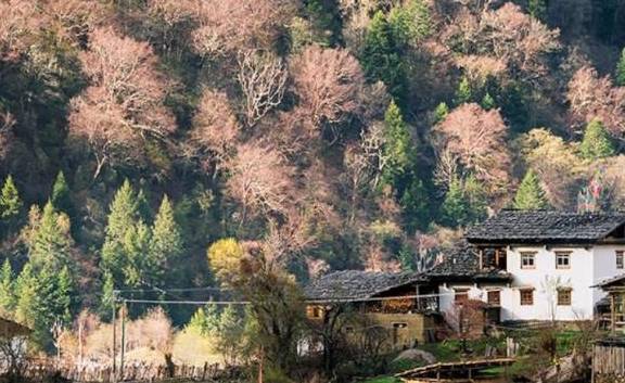 中国最原始的村落，至今还是一女侍二夫，兄弟俩轮流在家生活