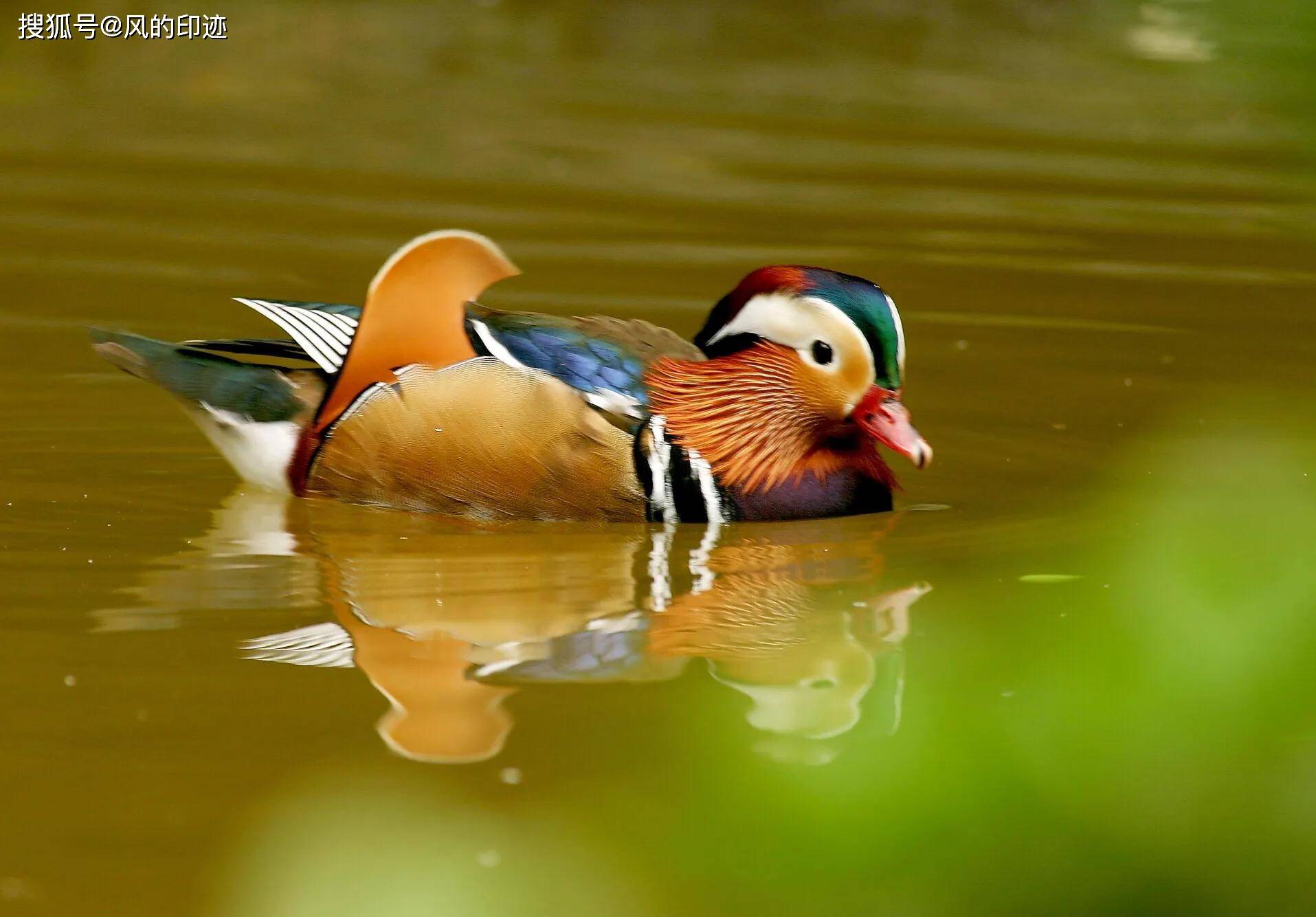 原创浅谈老年人学摄影,应该如何选择摄影器材