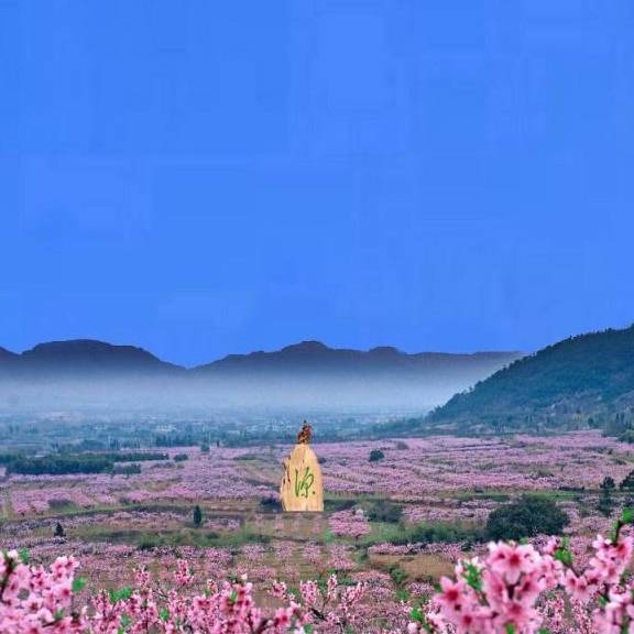 中国最美的5大赏花景点，个个都是人间至美，挑一个去踏青吧！