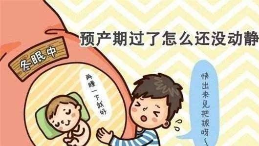 怀孕40周了还没反应怎么办