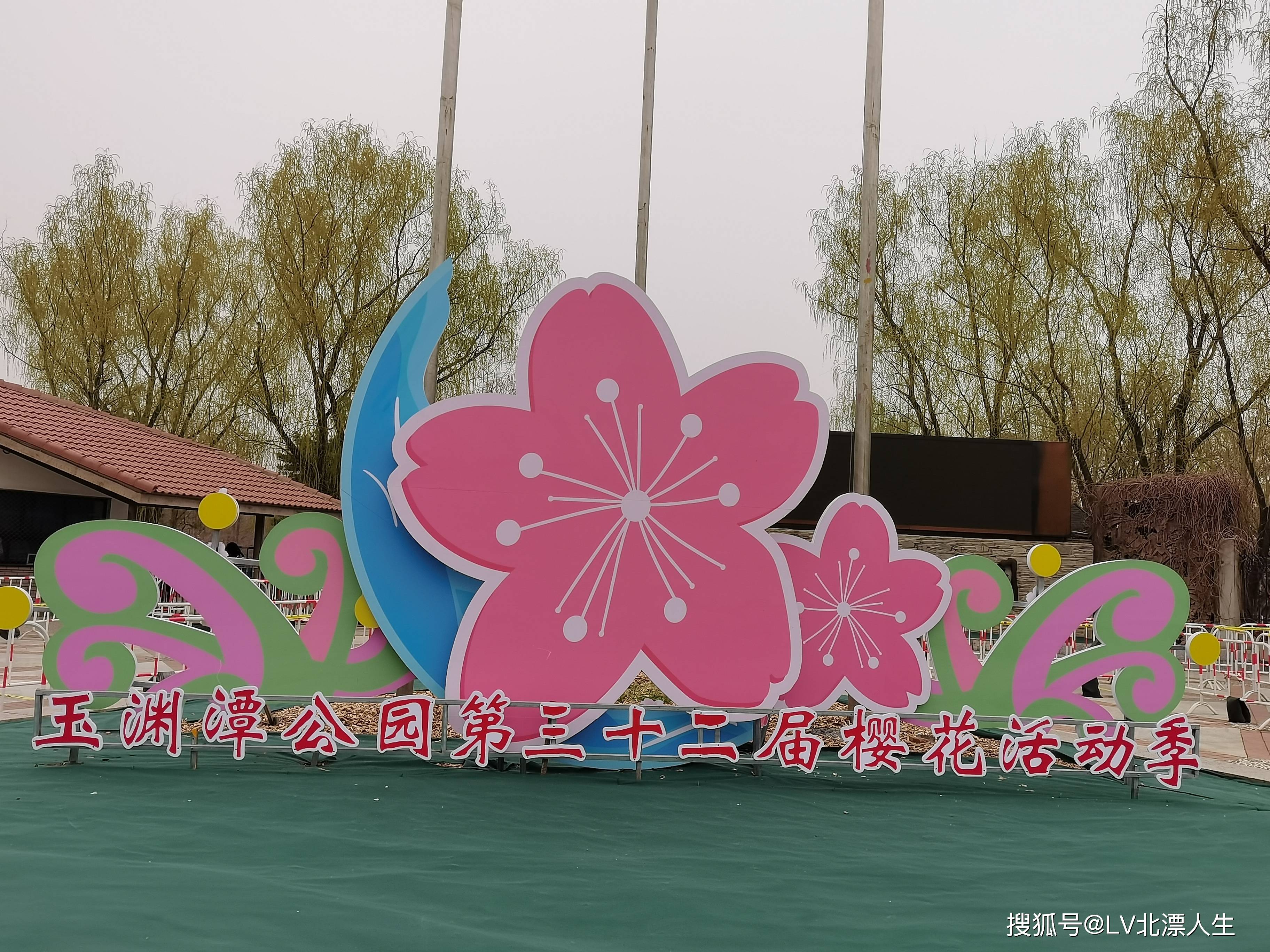 这里的樱花太美了，人山人海的玉渊潭公园第32届樱花节见闻