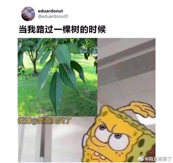 搞笑圖片集確實是人間真實