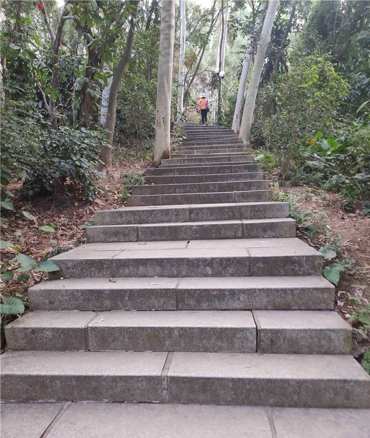 走走莲花山公园的小山路，也是一种很好的锻炼方式