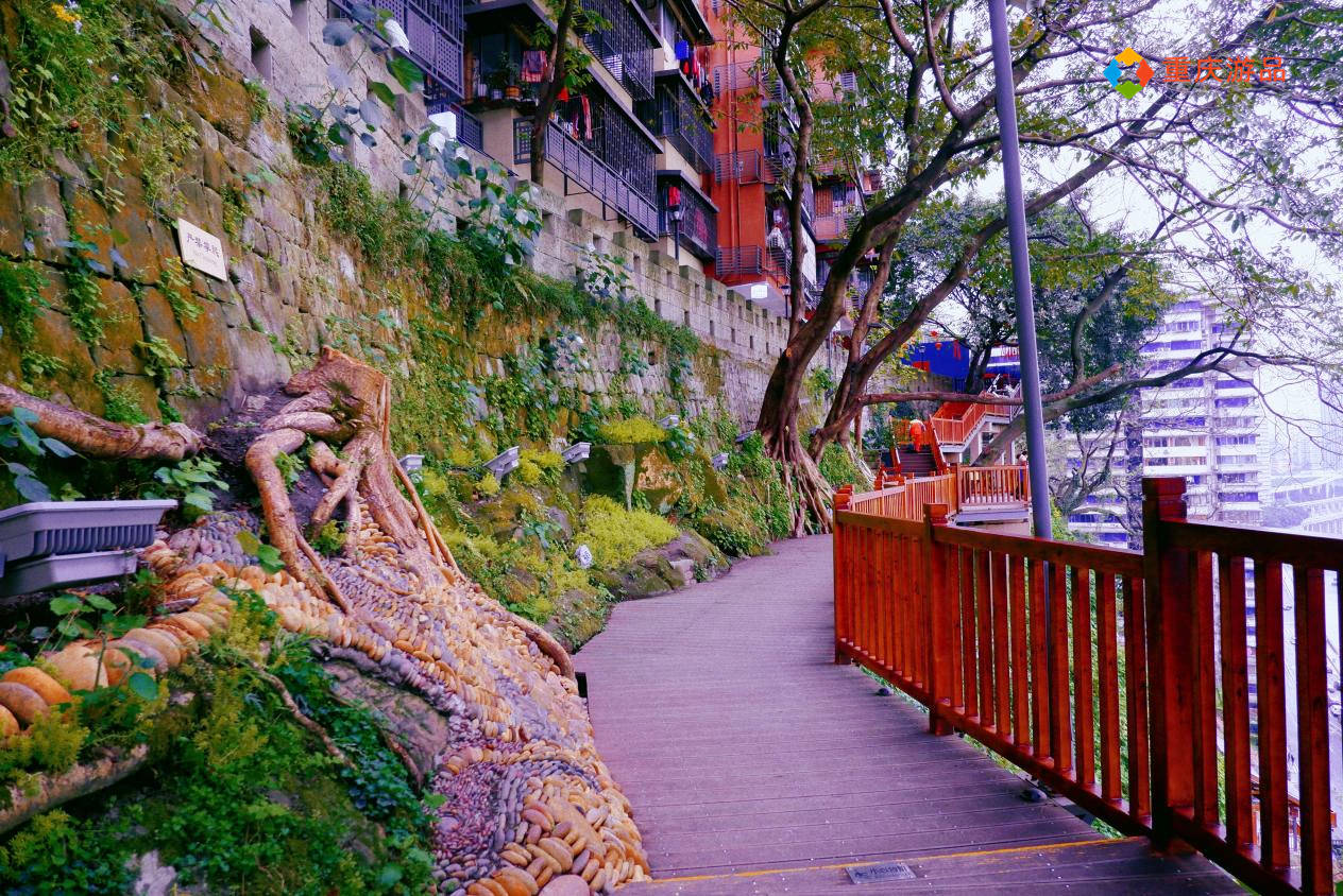 神奇的重庆戴家巷崖壁步道：高低落差60米，300米步道都悬空