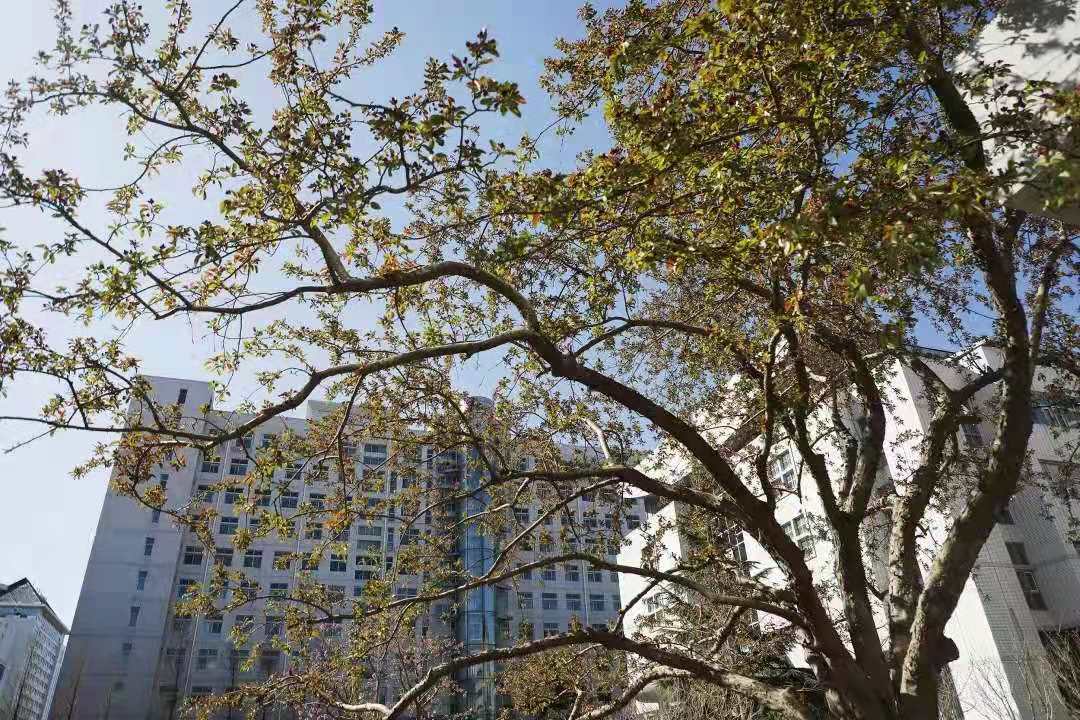 大学好不好看哪里 26952d31abd54b2a922768f56b00455c.jpeg