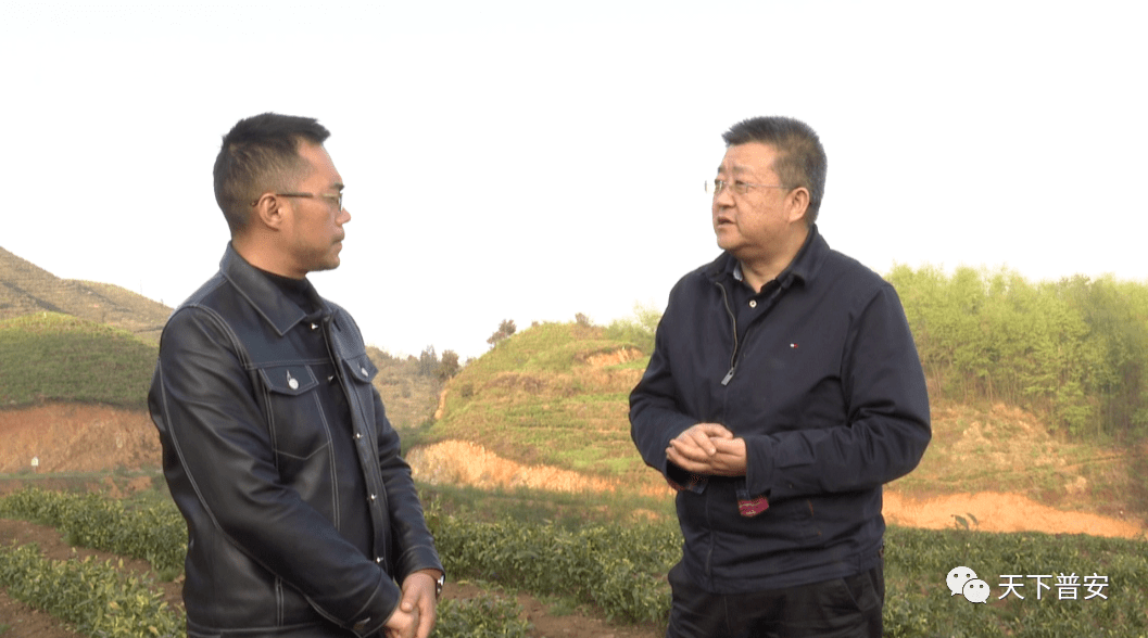 在茶源街道浙茶集团白叶一号产业园,刘冲说,要将镜头聚焦"白叶一号"