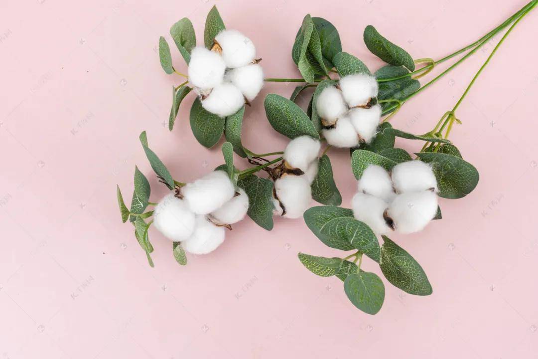 千库网也加紧上线了一批 #支持新疆棉花#的素材 可供大家制作物料