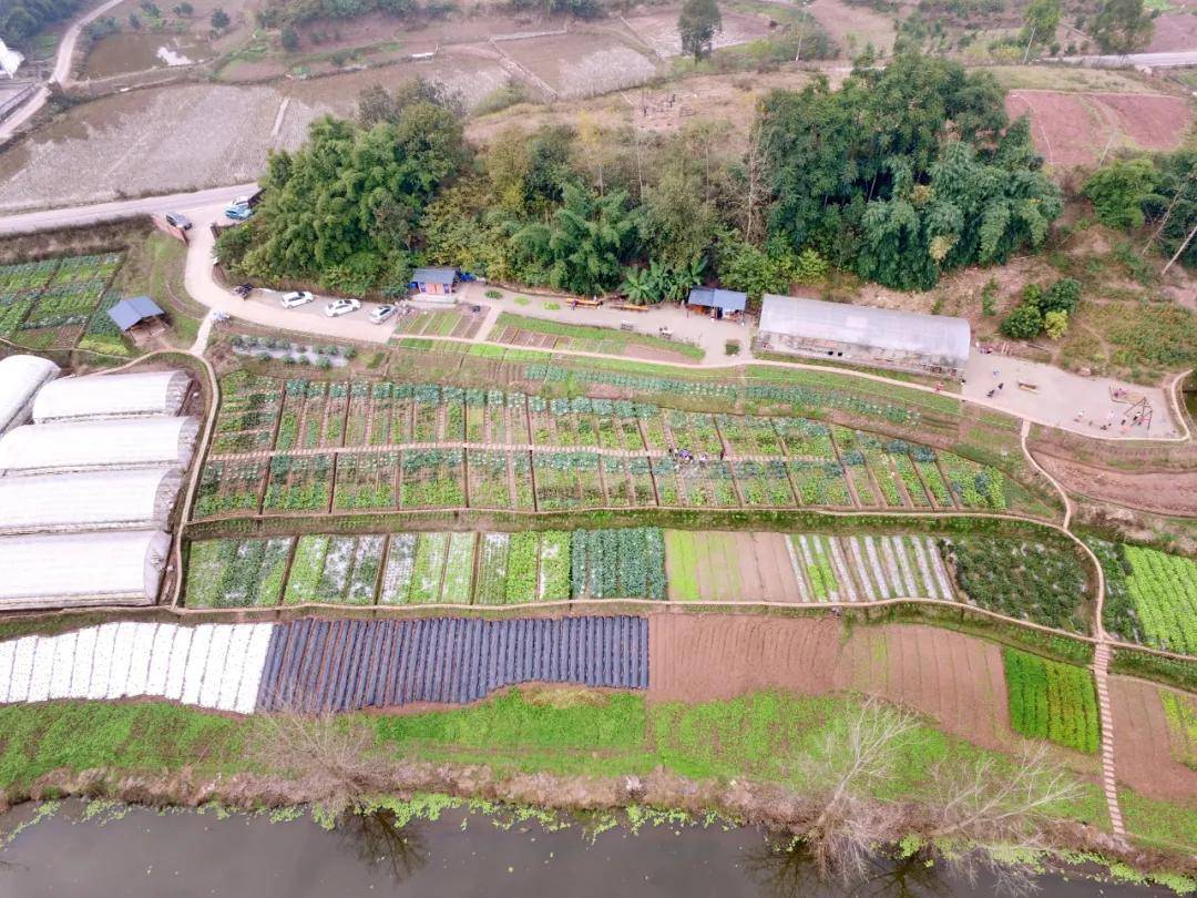 户外活动场地,很接地气 即便如此,农场没有做任何宣传,都是靠客人
