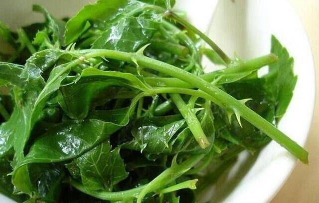 广东有一道“野菜”食疗功效强大：解毒、消暑还能抗疲劳！