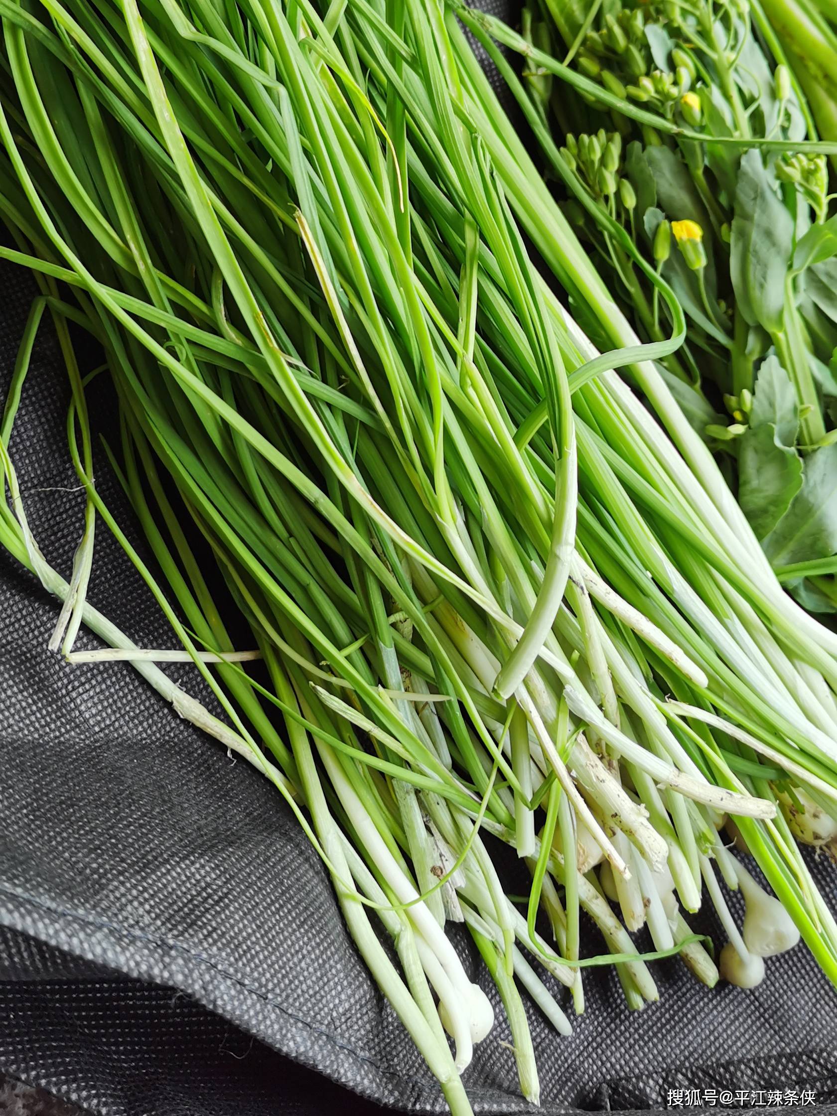 吃不惯凉拌野葱?不如试试喷香下饭的野葱煎蛋