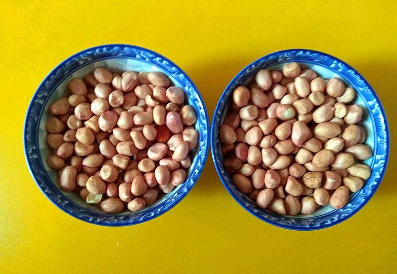 怎样种花生最好吃 984f616e3bef4896b2785ab12203420b.jpeg