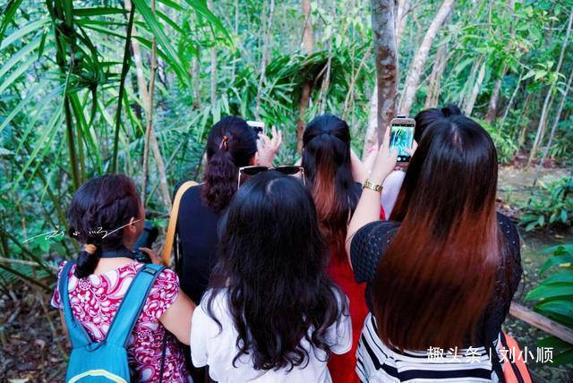 外国人最大的“困惑”：为什么中国游客都热衷于去旅游景点打卡？