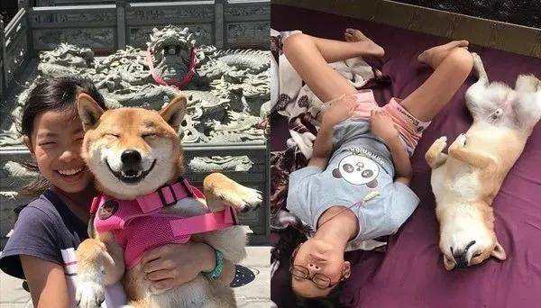 柴犬和小主人眯眼笑，睡姿都同步，照片证明，亲生无误_那张狗