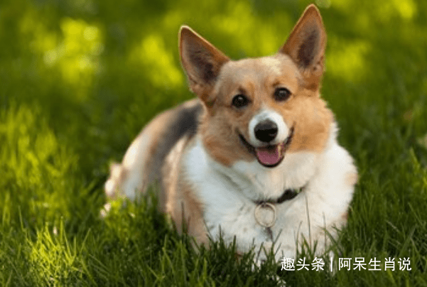 82cf0003d6ec4db2bfbd18614910c3a0.png