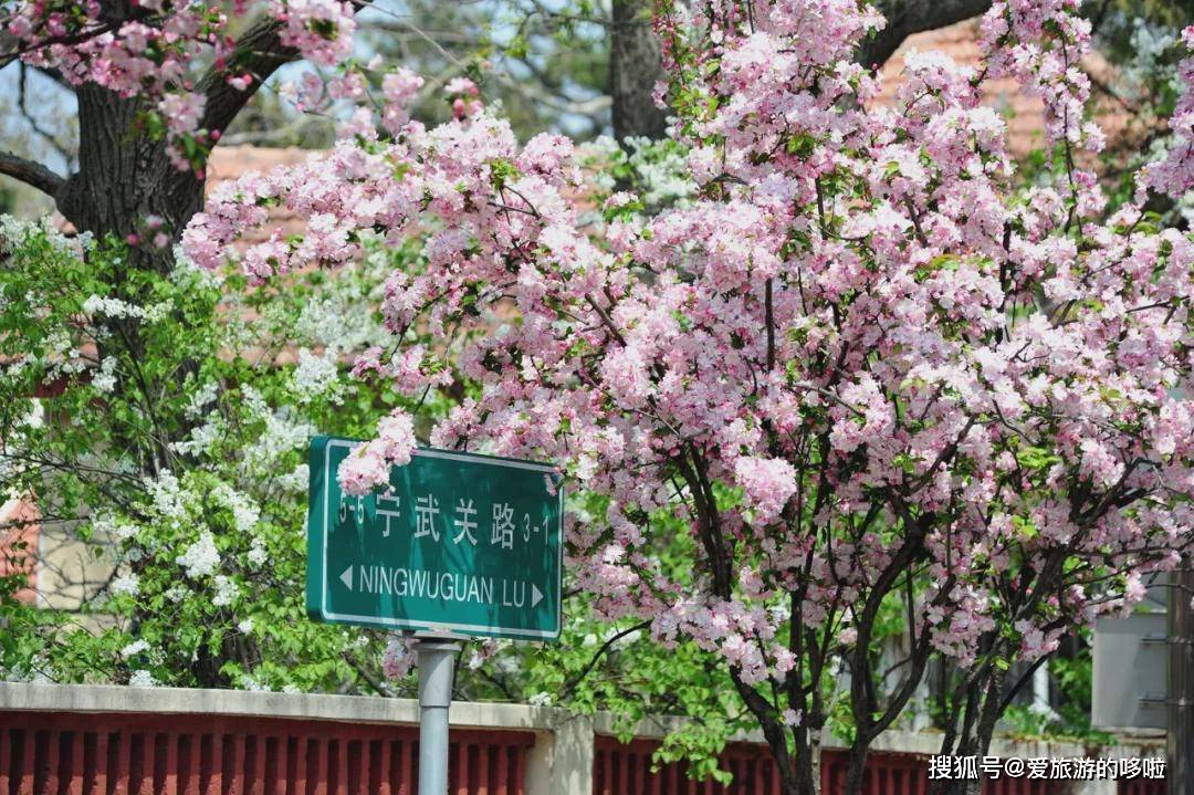 中国这座宜居Top1的海滨老城，一到春天，就美到让人欲罢不能…