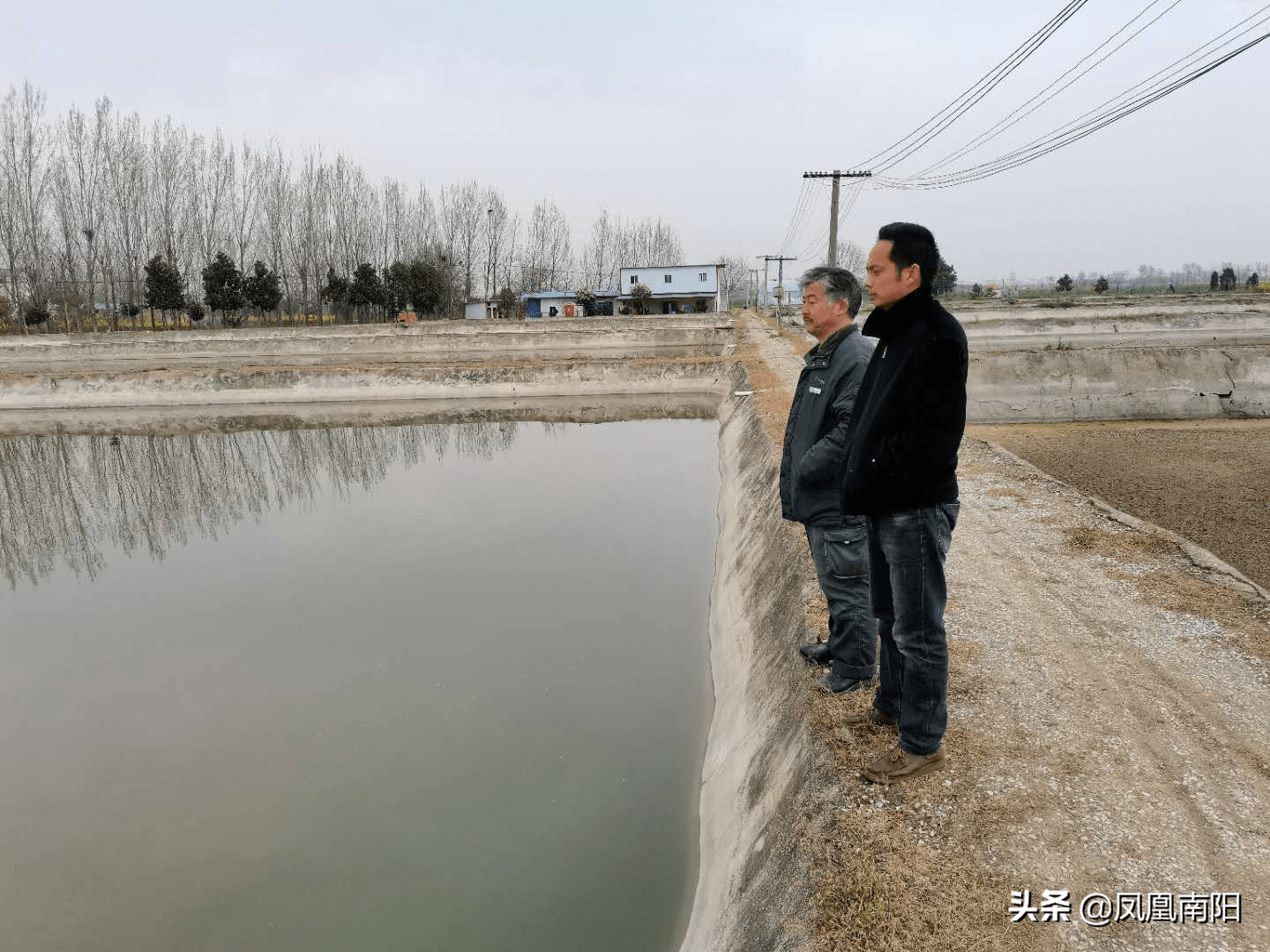 邓州市裴营乡郑博 养殖观赏鱼 闯出一片天 销售