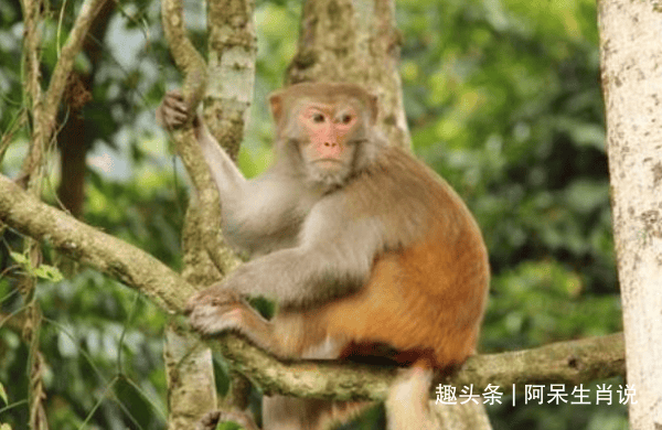 719ccf2bcff9460f94374fe3915b6bd5.png