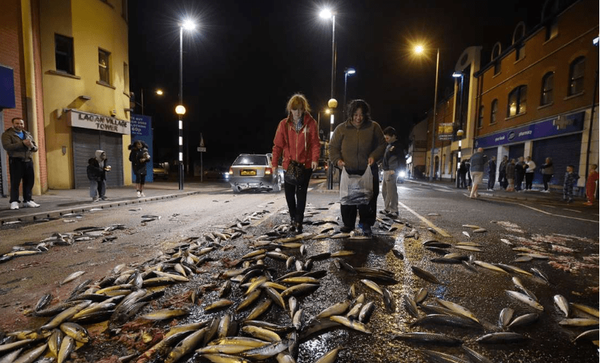 原创无比崩溃:中美洲洪都拉斯造了一座桥,飓风过后桥还在,河却跑了