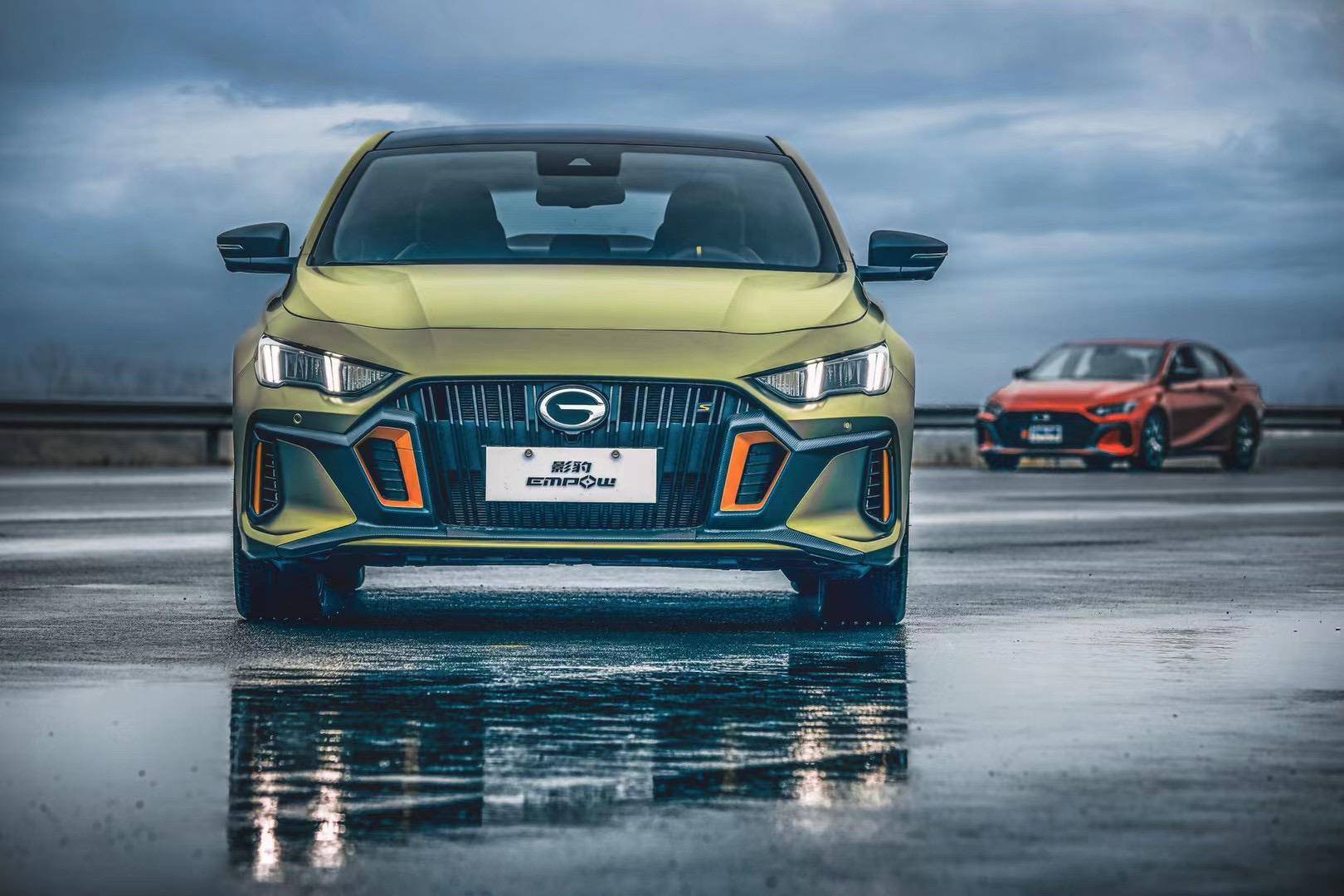 影豹中文名及动控信息_搜狐网