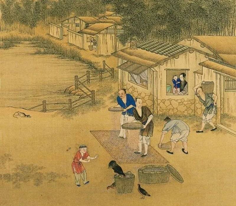 王莽简介视频 914d9e4c0313471e801ca21c5540ab6a.jpeg