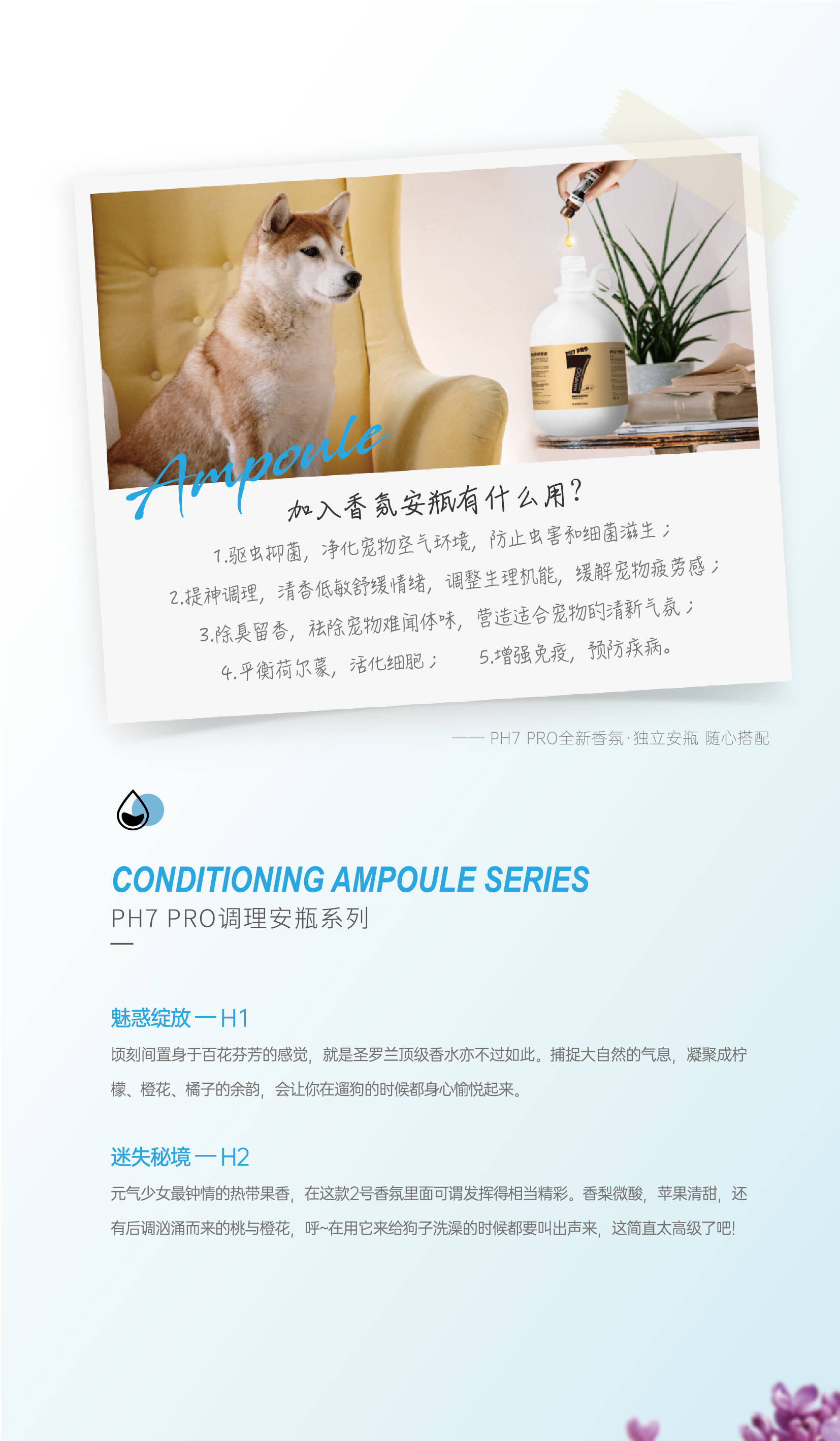 040929cd2c574fcf907608bd4556a86a.jpeg