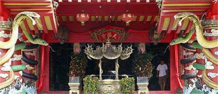 全球“最毒”寺庙，寺庙爬满毒蛇，历时百年不曾咬人，有佛性了？