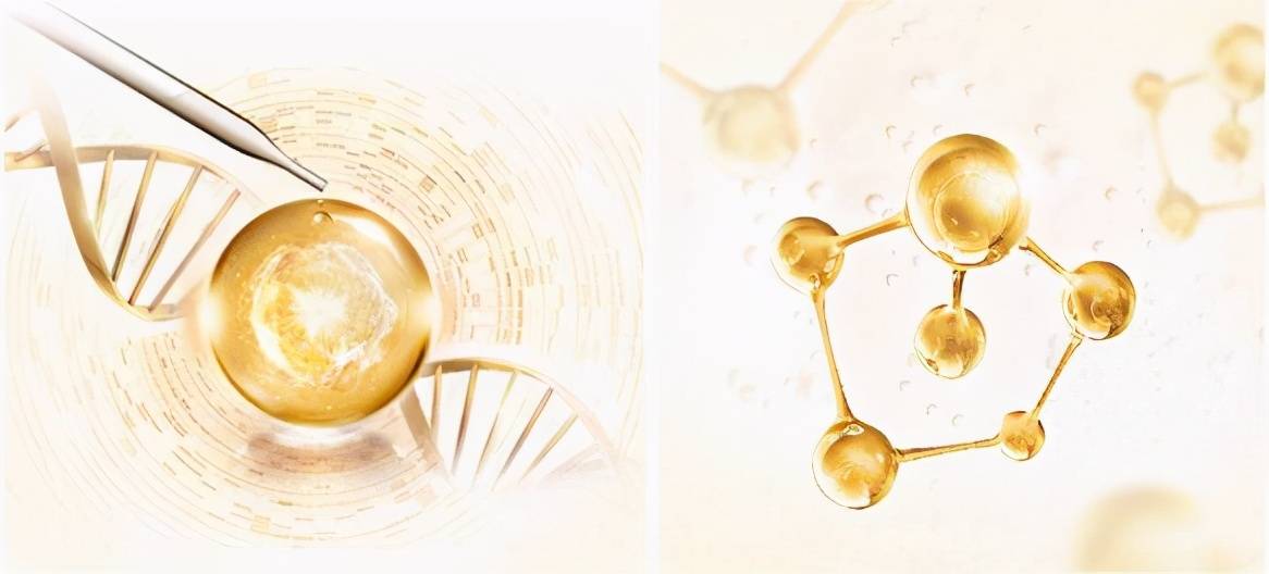 烟酰胺为什么能美白?