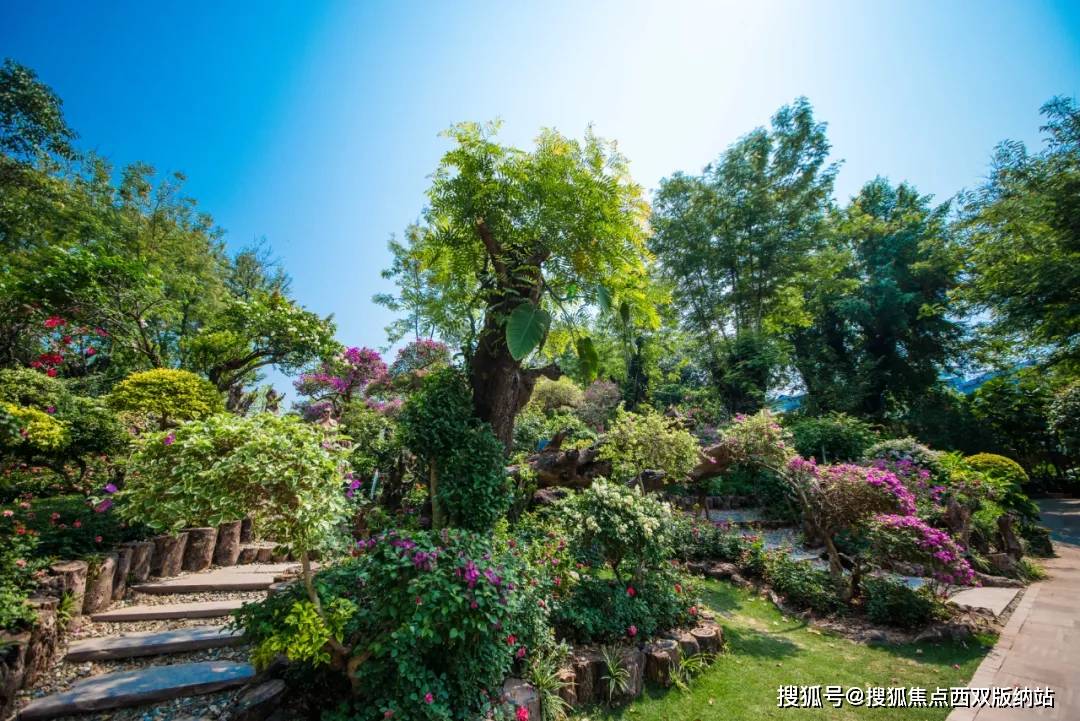 西双版纳最美花园，了解下？