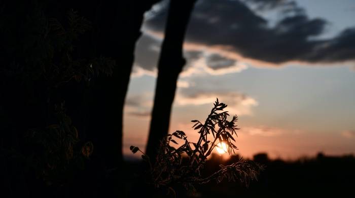 连续四年净亏损近150亿，国美零售等实体店们下一步怎么办？-家电圈官网