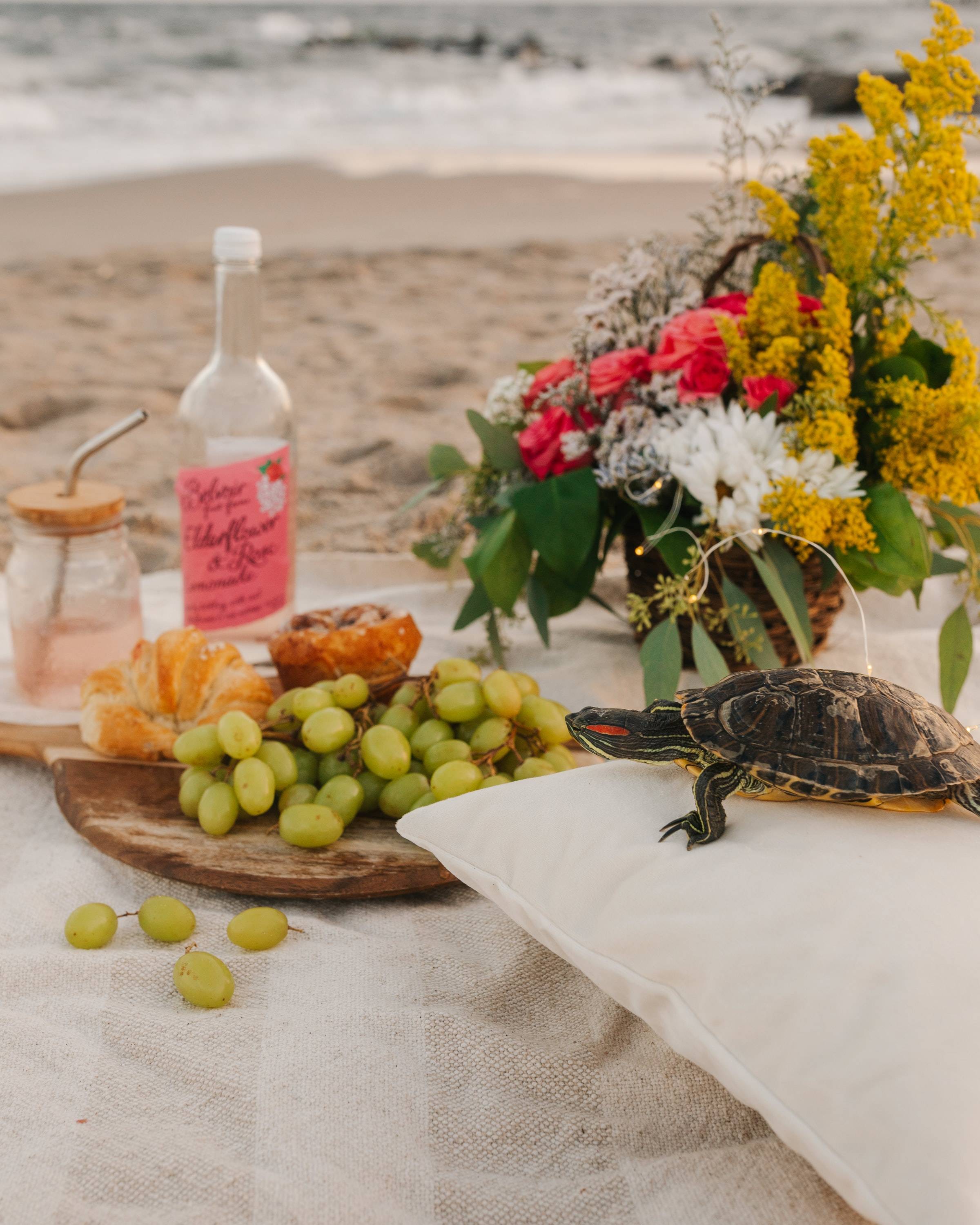 乌龟吃什么食物长的快 3759cbce182043ac803460ef6d5d473f.jpeg