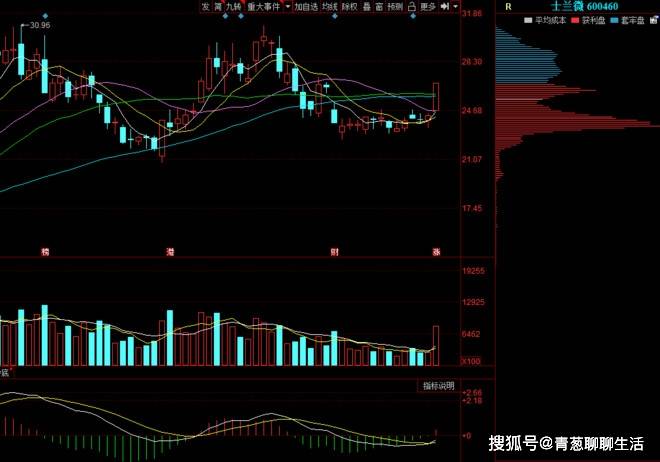 比亚迪股票分析图 4f59155eeeeb4c5db9a45b8aad54bf2f.jpeg