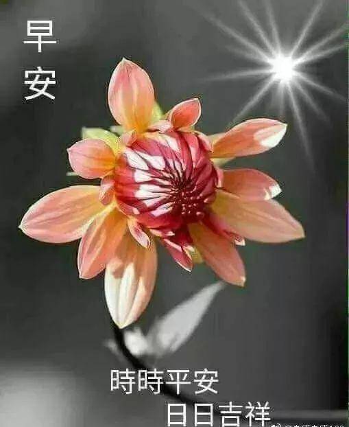 56b2e7537feb4b90b6c811a4f2c64d80.jpeg
