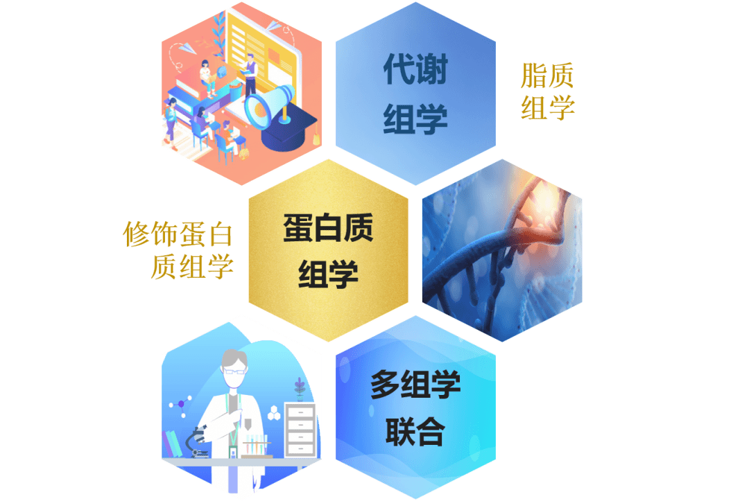 专业多组学手册,包含农学,医学蛋白组学专项研究思路