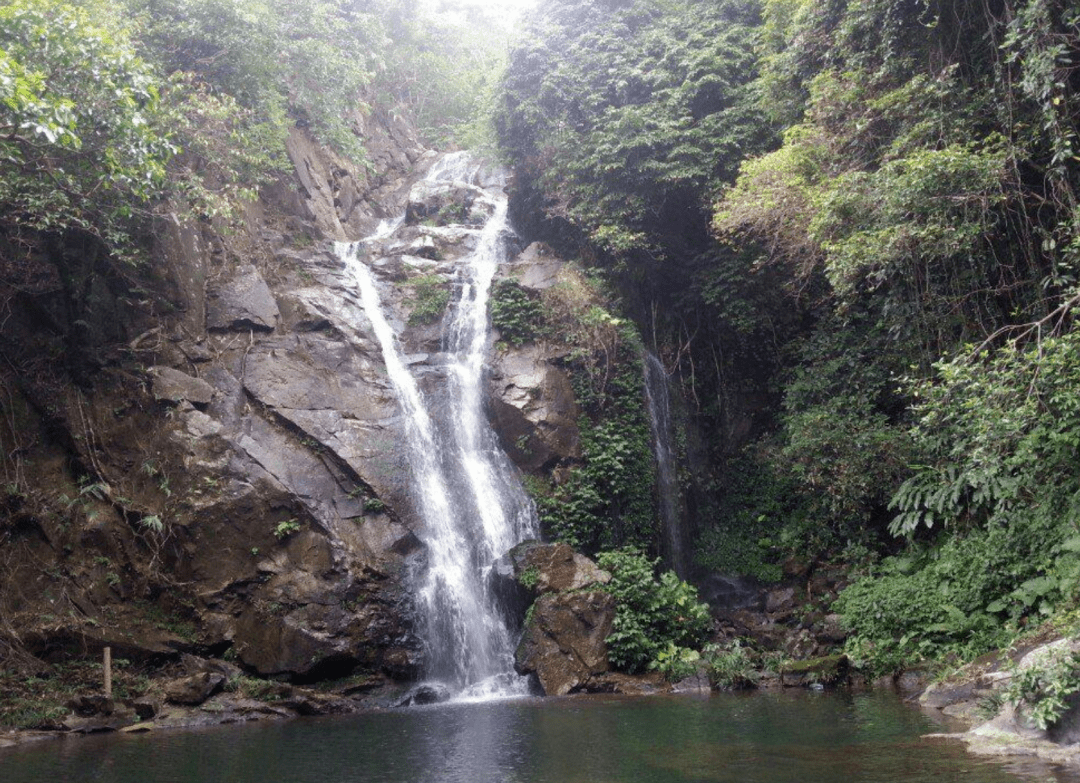 清明假期,广东省内游,去天马山寻宝打卡有惊喜!