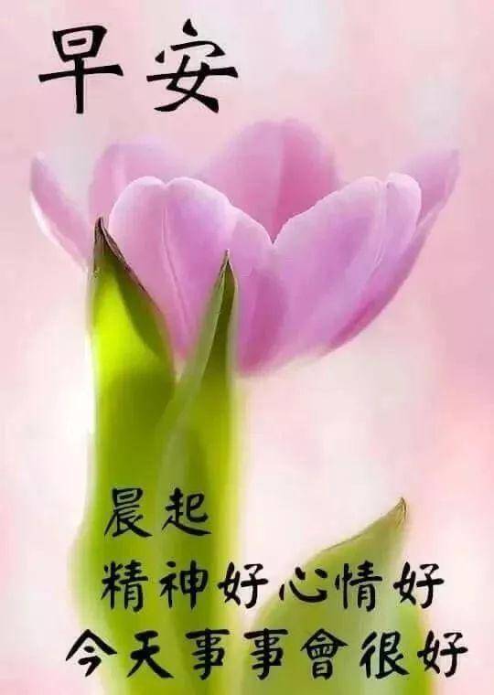 清晨问候大家早安祝福语图片早上好问候祝福语短信 人生
