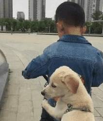 3e7211653814489697089fb0a3a7a317.jpeg