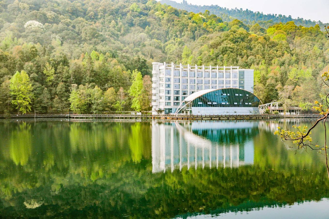 赣州崇义看梯田万亩在森林公园看桃花肆意绽放