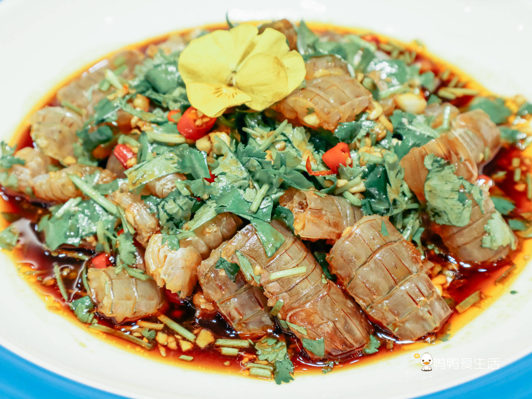 潮汕生腌虾姑是潮汕人喜闻乐见的一道冷菜,潮汕生腌海鲜有"毒药"之