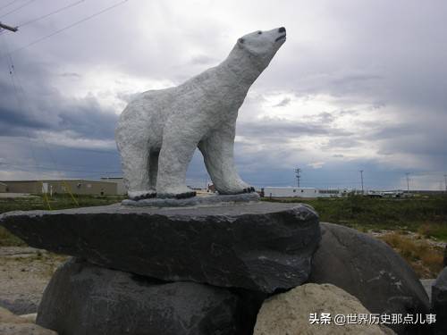 加拿大丘吉尔镇为什么要给北极熊建一座监狱？因为它比罪犯难对付