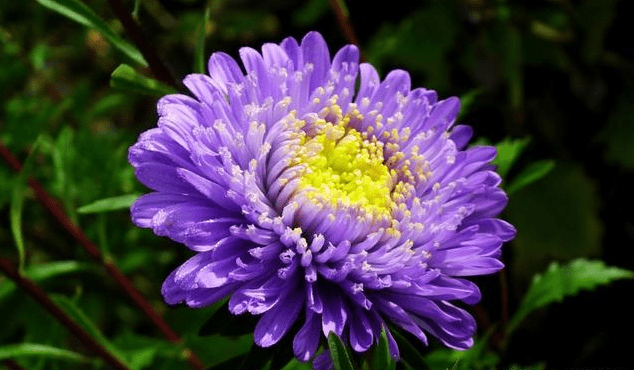 0f55031b3b4f44f1827afdbff705c1e4.png
