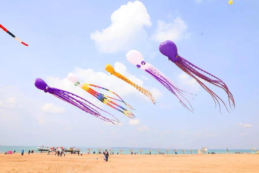 红碱淖迎来65米的章鱼阵风筝，大型中非鱼风筝首飞惊艳亮相！
