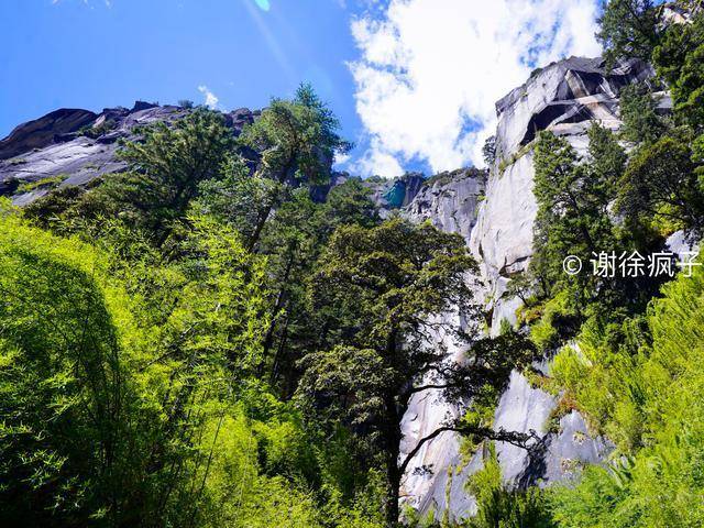 有200米落差瀑布 有天然形成的佛像 西藏林芝这个景点竟如此神奇