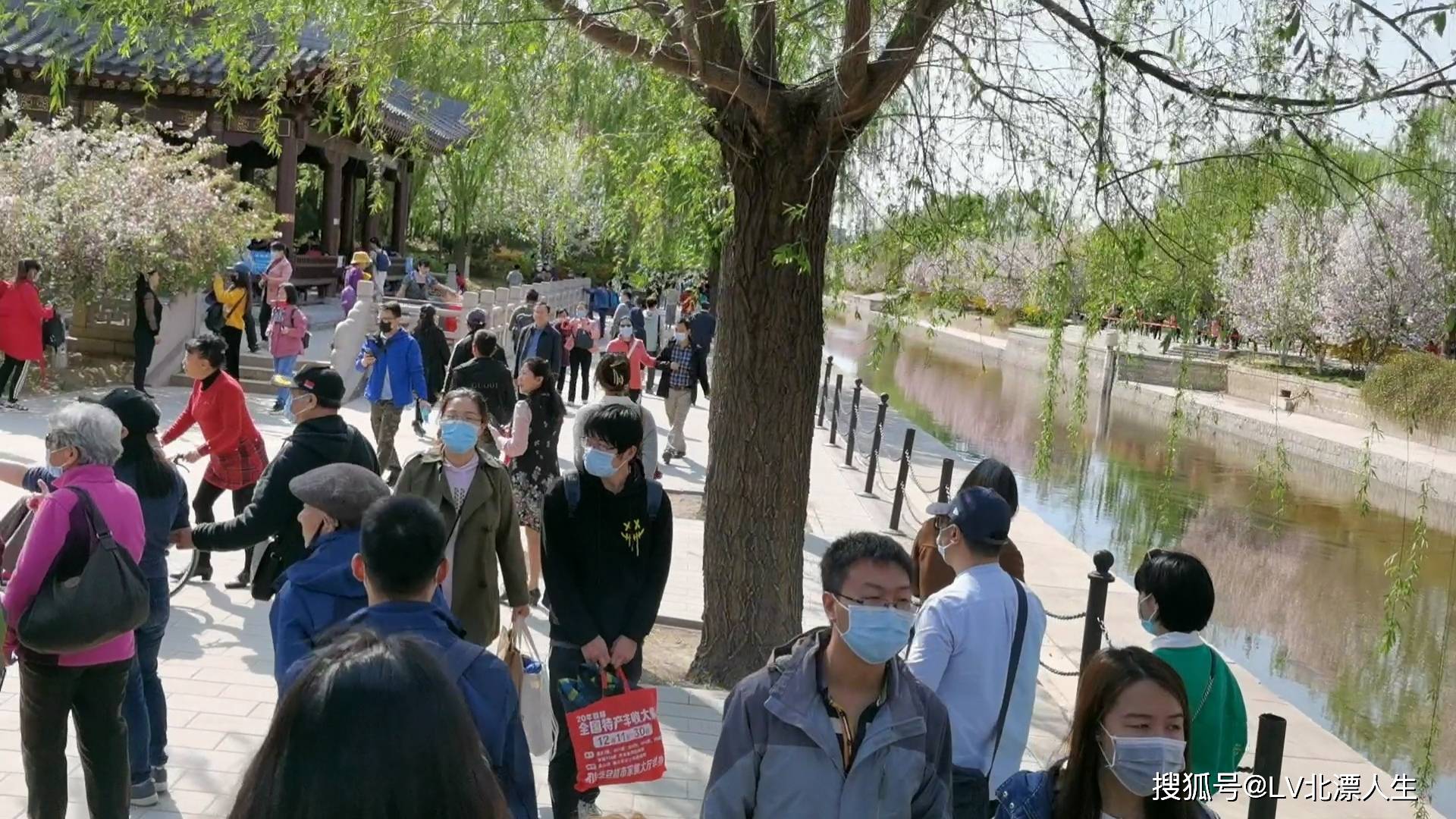 京城4月赏花攻略系列：元大都公园海棠花溪之一，游客与海棠花争春