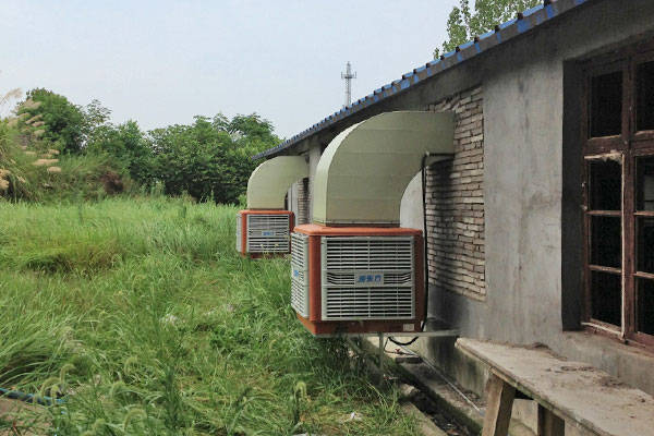 养猪场使用环保空调降温通风案例