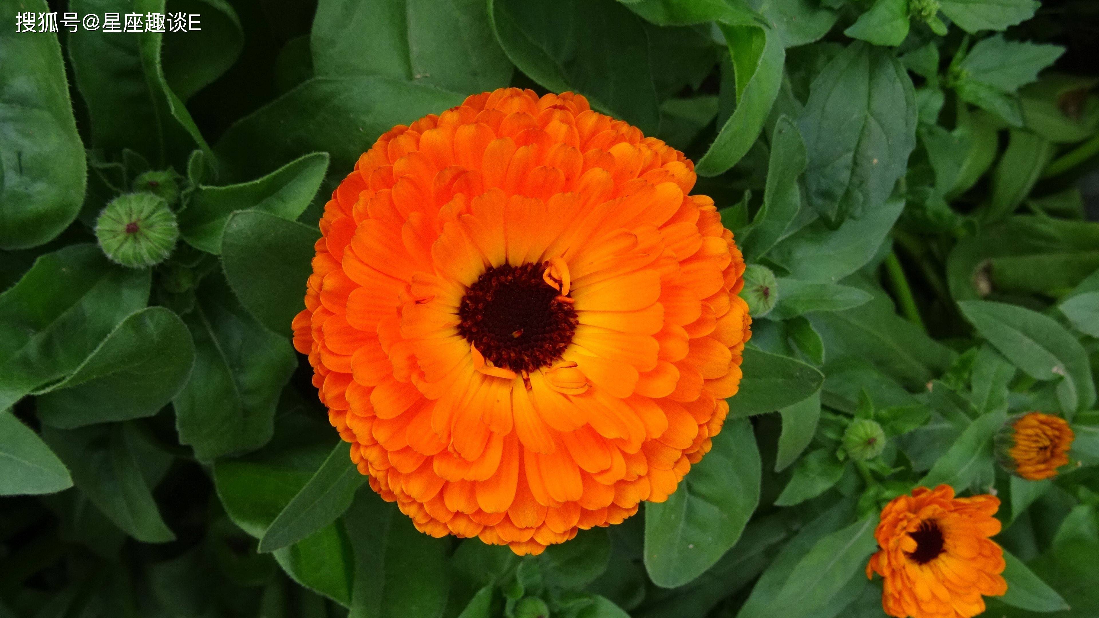 4月6日爱情运势 魅力四射 感情升温的四大星座 伴侣